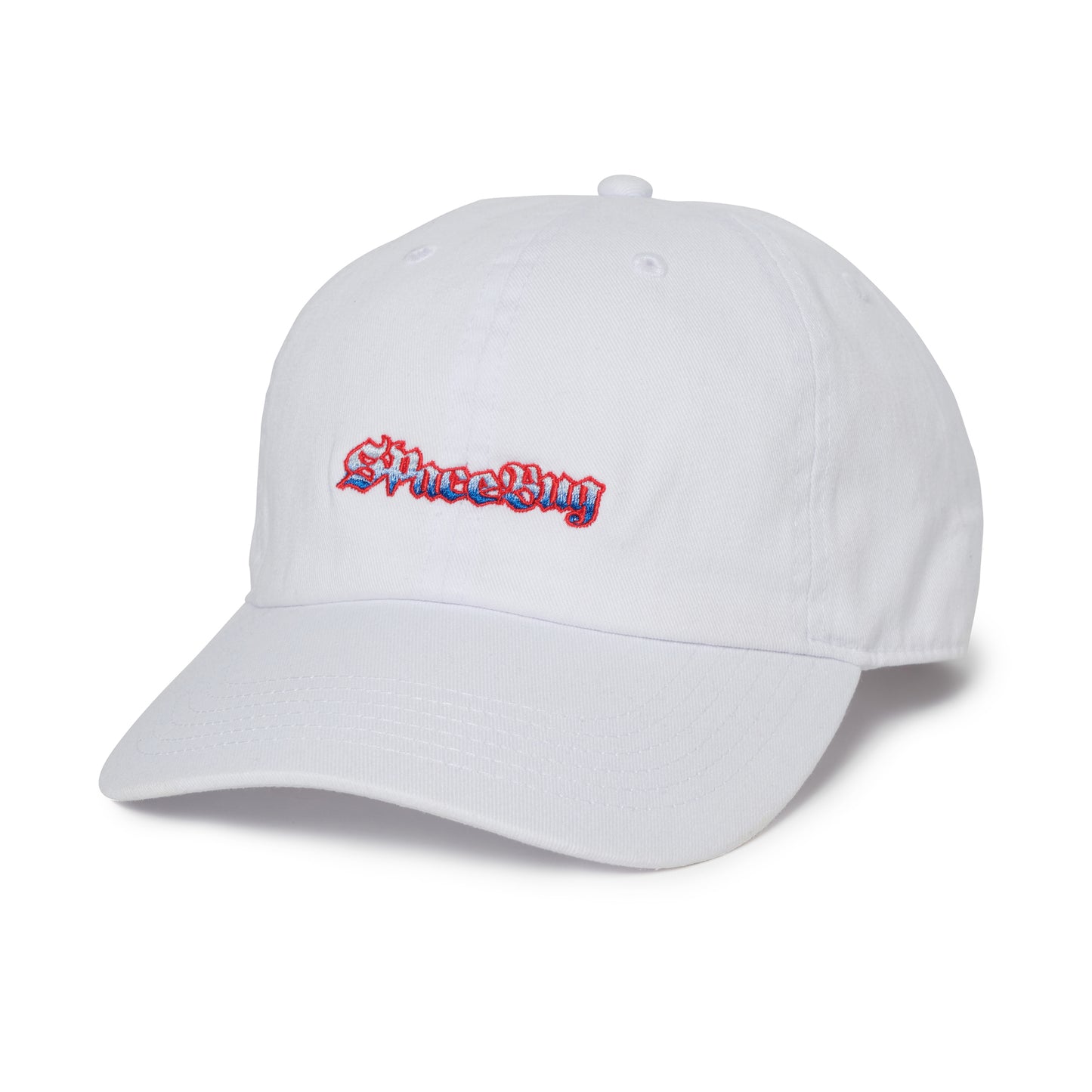 Space Bug Logo Cap