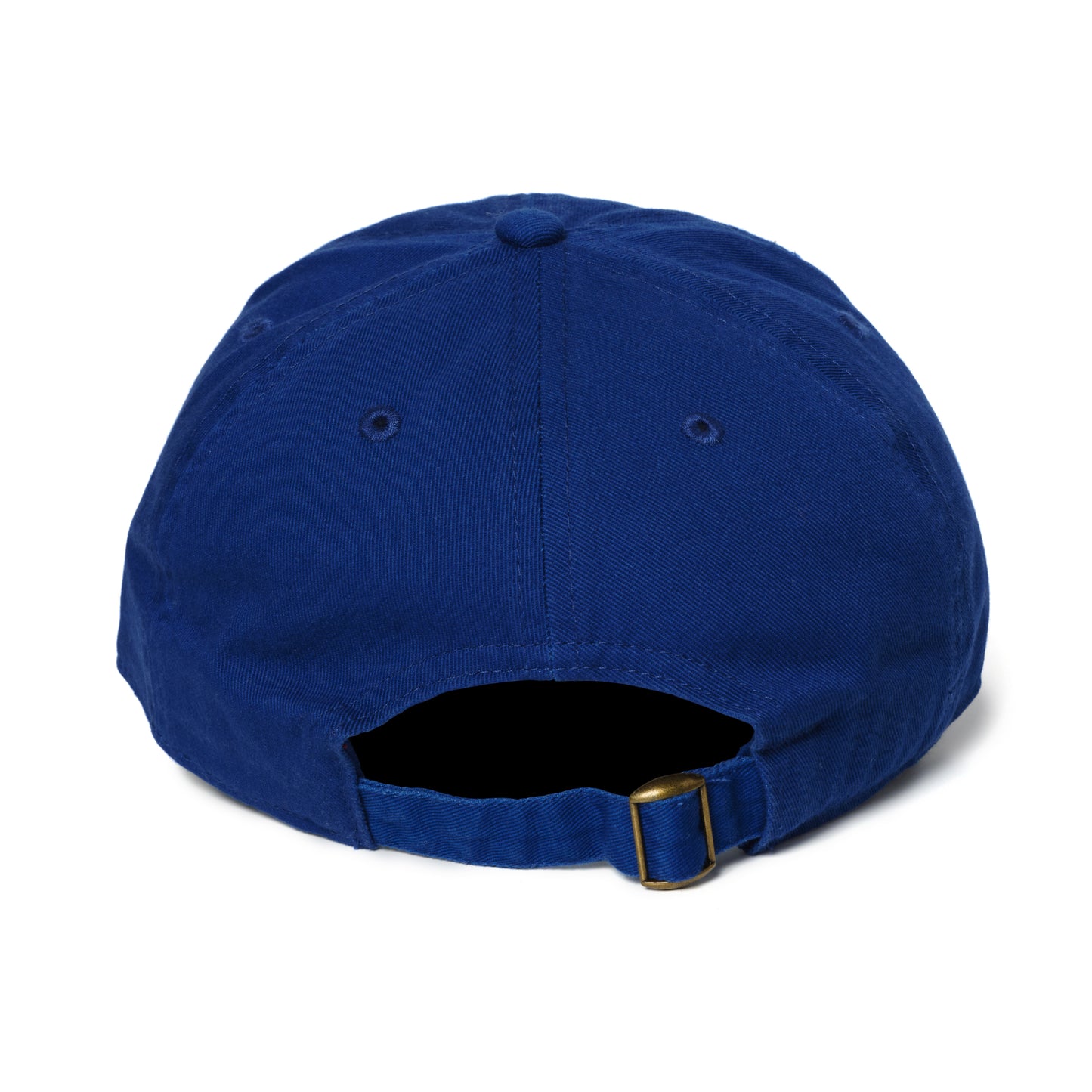 Space Bug Logo Cap
