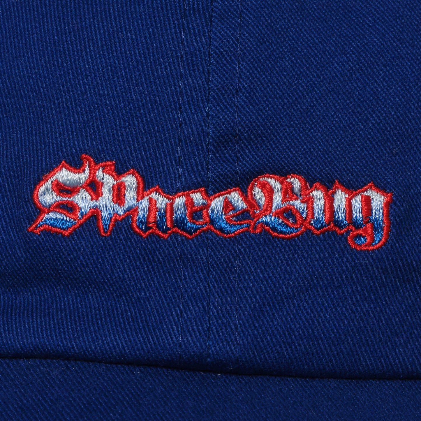 Space Bug Logo Cap