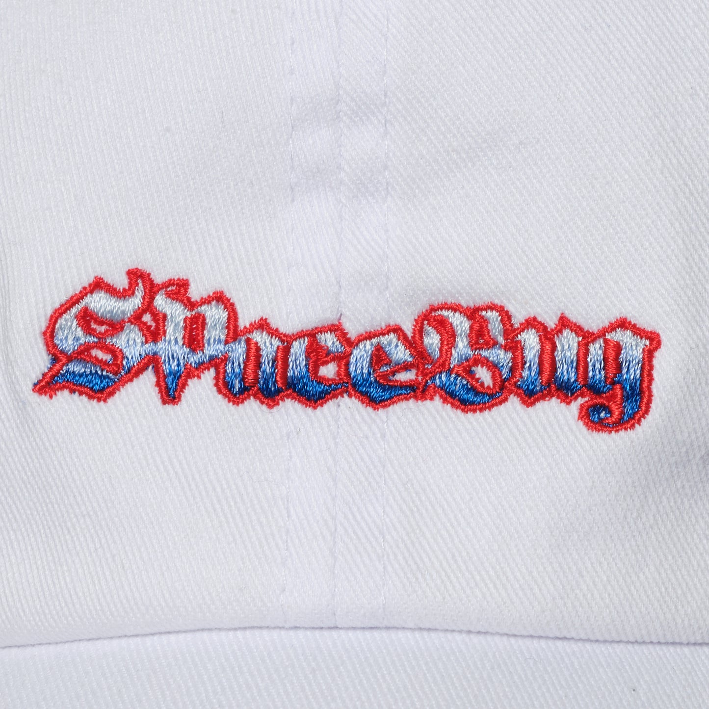 Space Bug Logo Cap