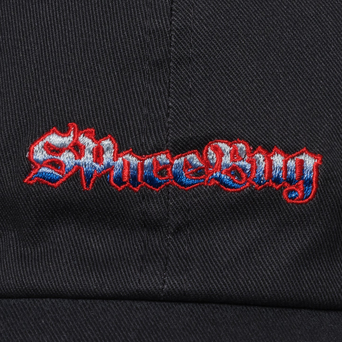 Space Bug Logo Cap