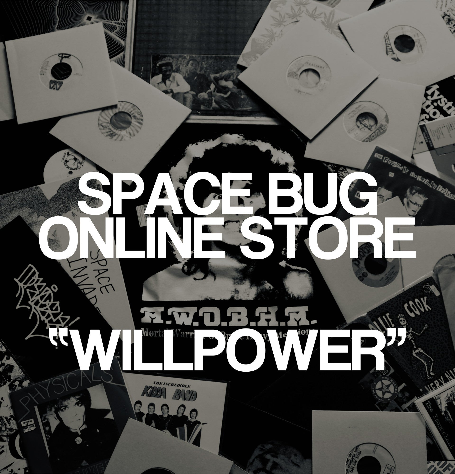 SpaceBug SpaceBug